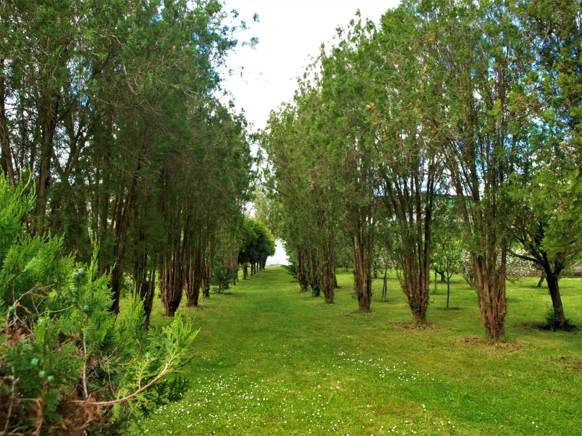 Albergue Pallanes Tui Zewnętrze zdjęcie